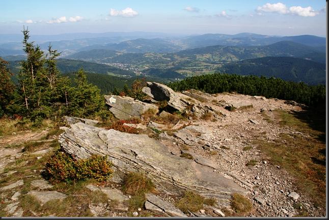 0256_b_zywiecki.JPG