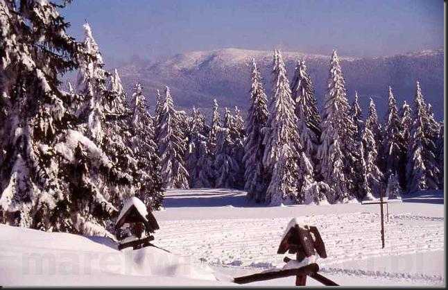 BESKID_ZYW_pilsko.jpg