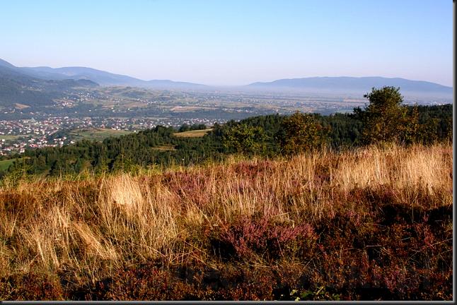 0206_kotl_zywiecka.JPG
