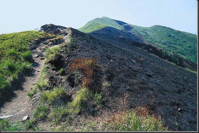 051_Bieszczady poloniny.jpg