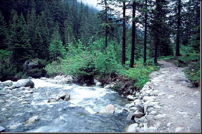 POTOK_TATRY02.jpg