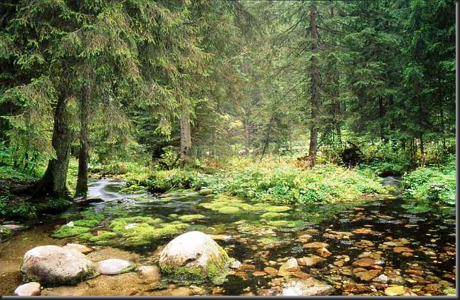 tatry_lodowe_zrodlo_02.jpg