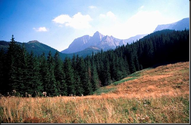 tatry_pano_giewont_003m.jpg